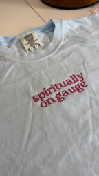 Spiritually On Gauge – Chambray Heavyweight Boxy Tee – Pink Embroidery | TIMI