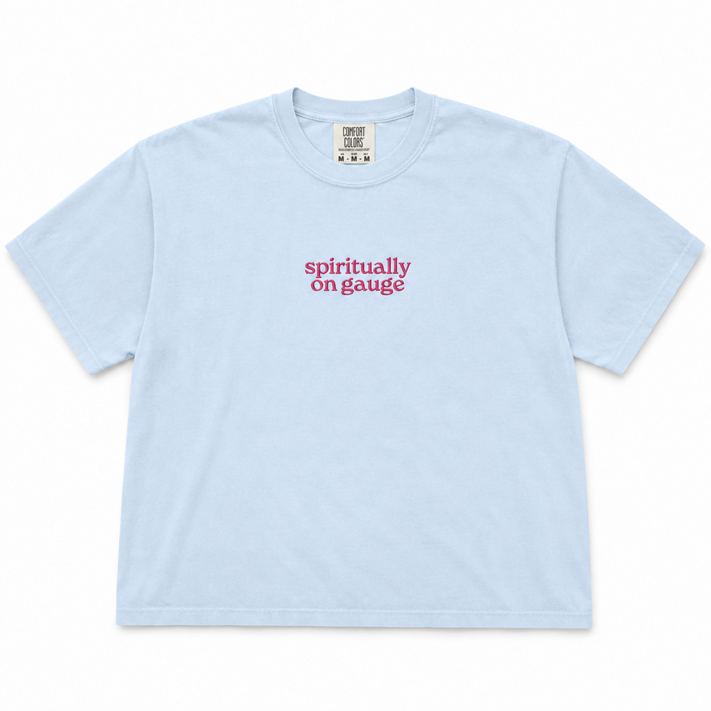 Chambray heavyweight boxy tee with pink Spiritually On Gauge embroidery